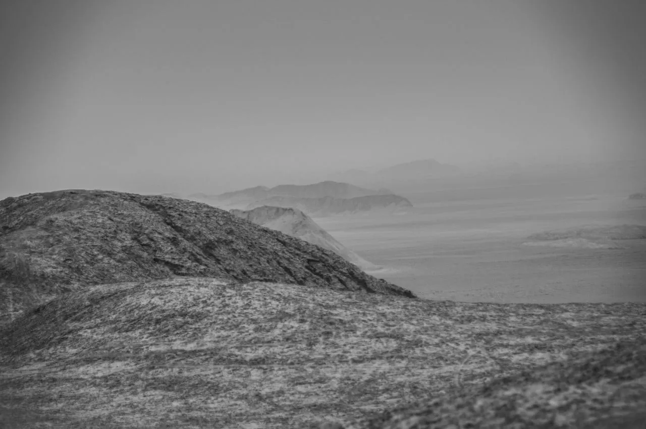 The Future — image 6