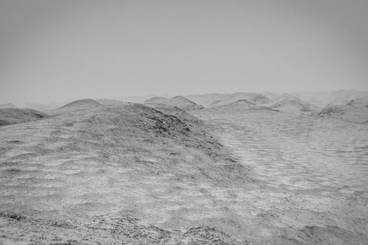 The Future — image 8