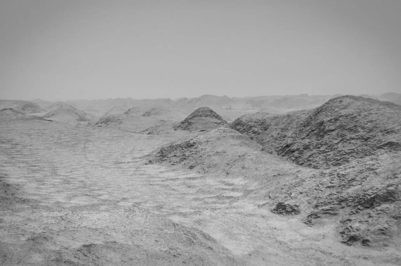 The Future — image 4