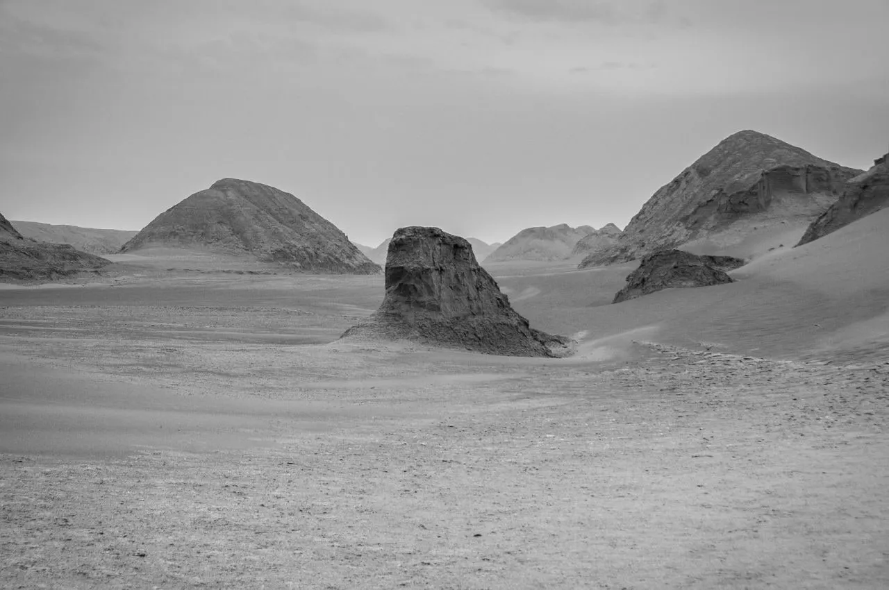 The Future — image 7