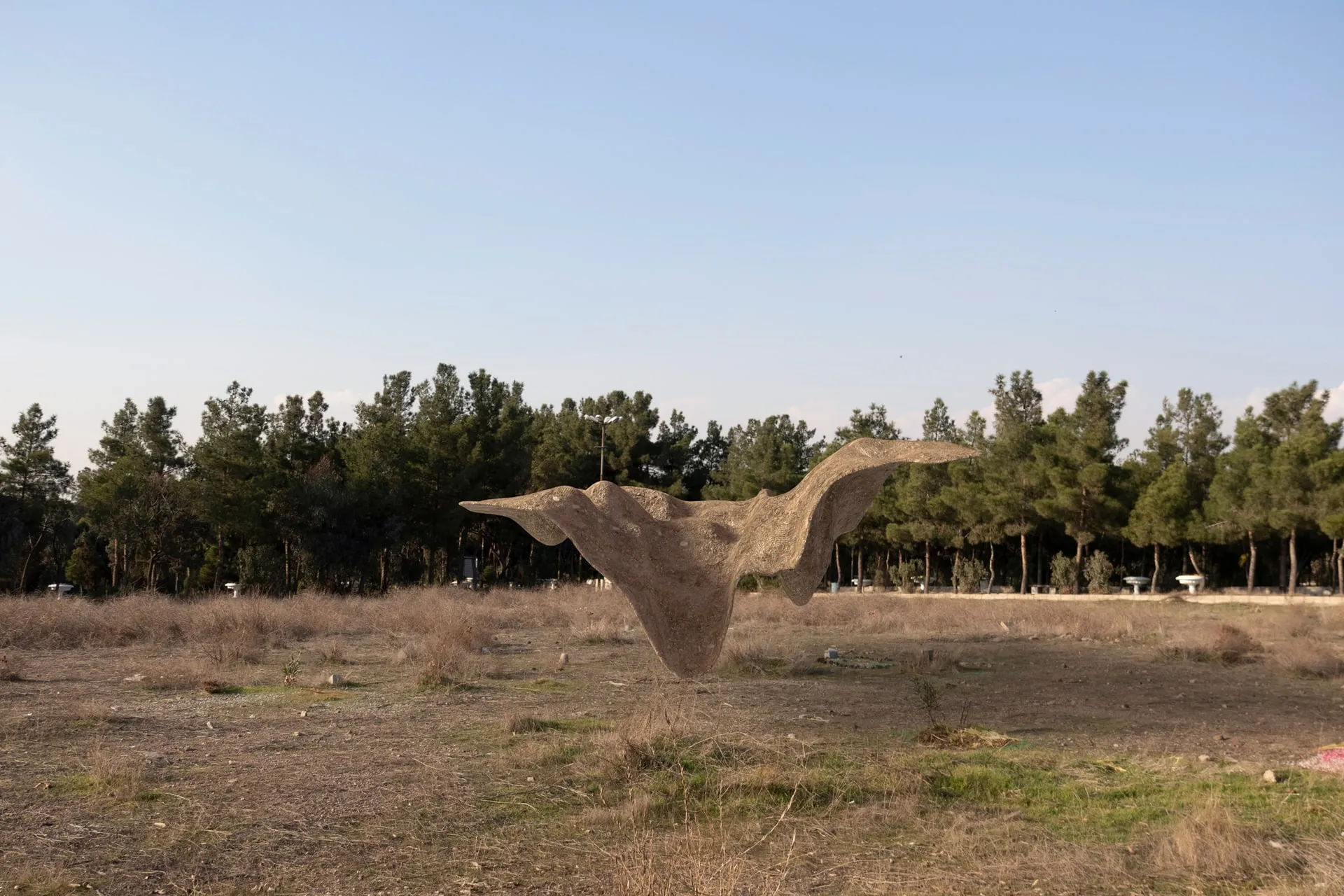 Against Communal Amnesia — image 3