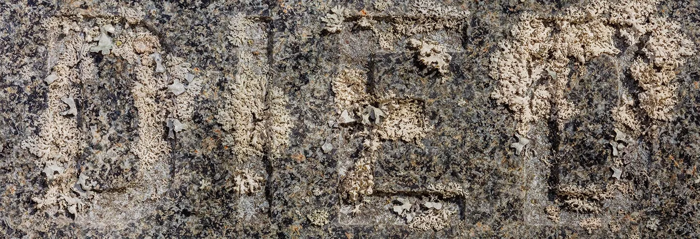 Erosion II 2020 — image 5