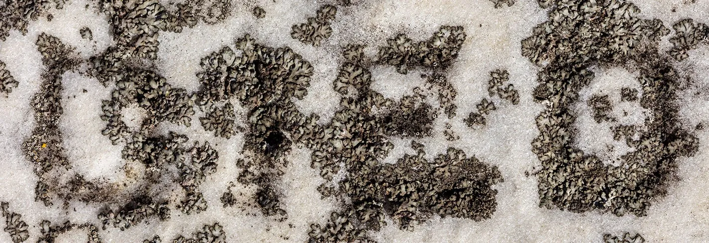 Erosion II 2020 — image 3