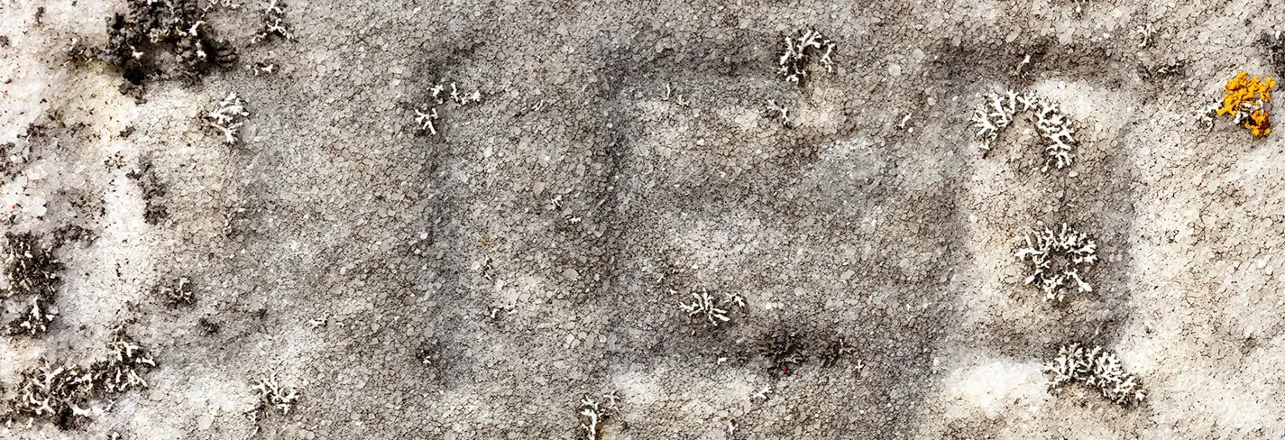 Erosion II 2020 — image 6