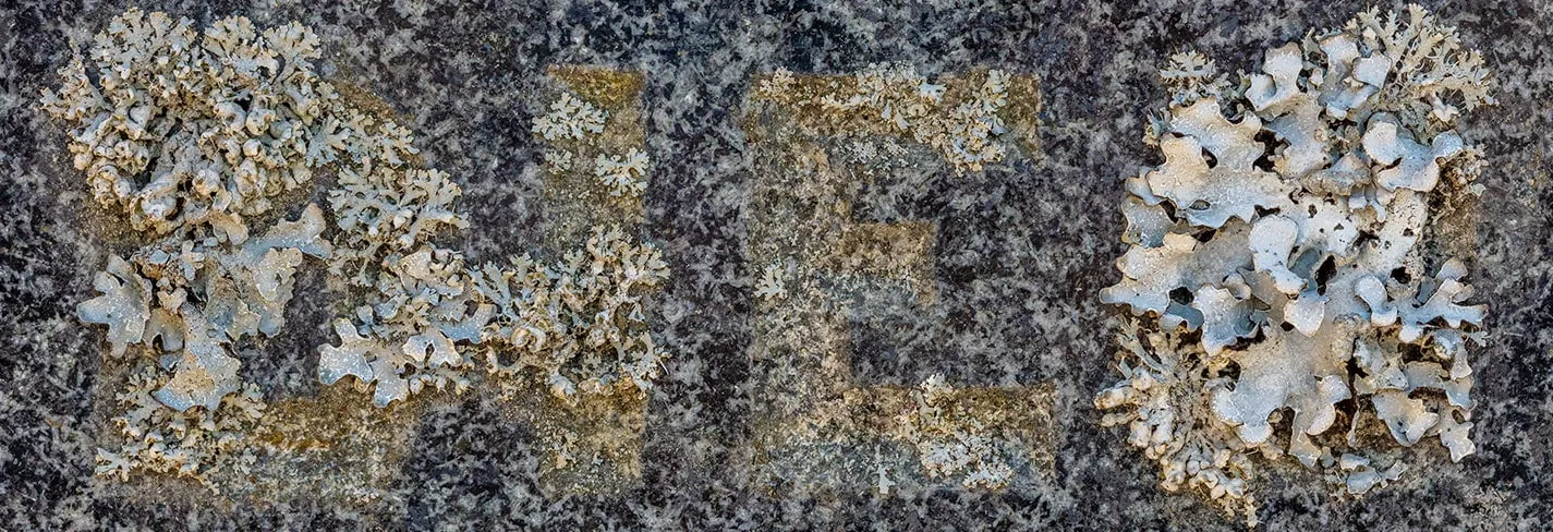 Erosion II 2020 — image 2