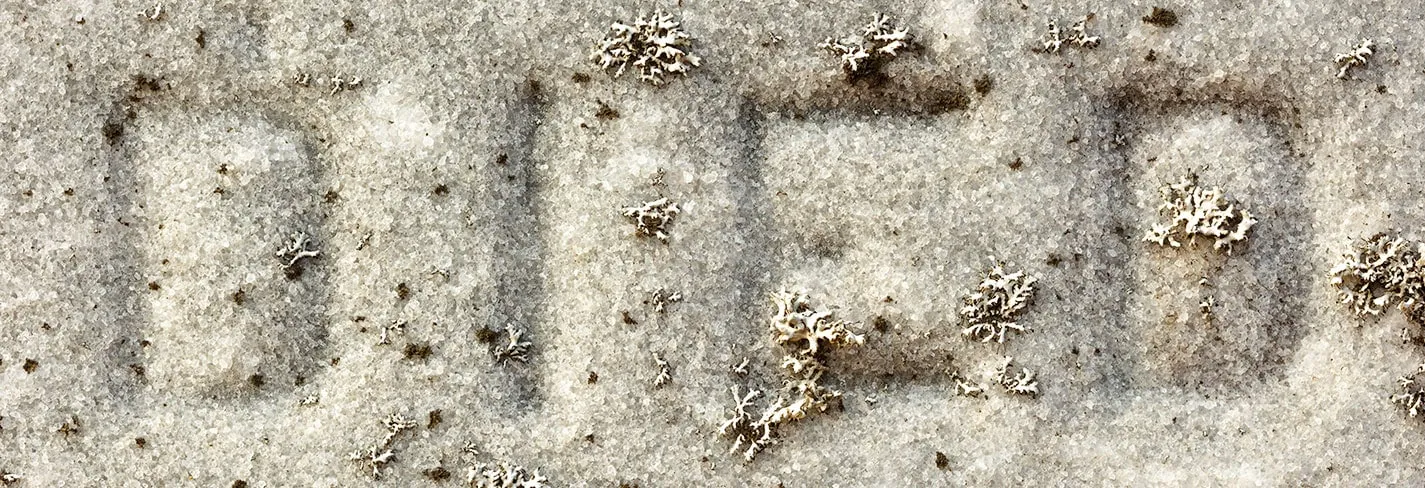 Erosion II 2020 — image 4