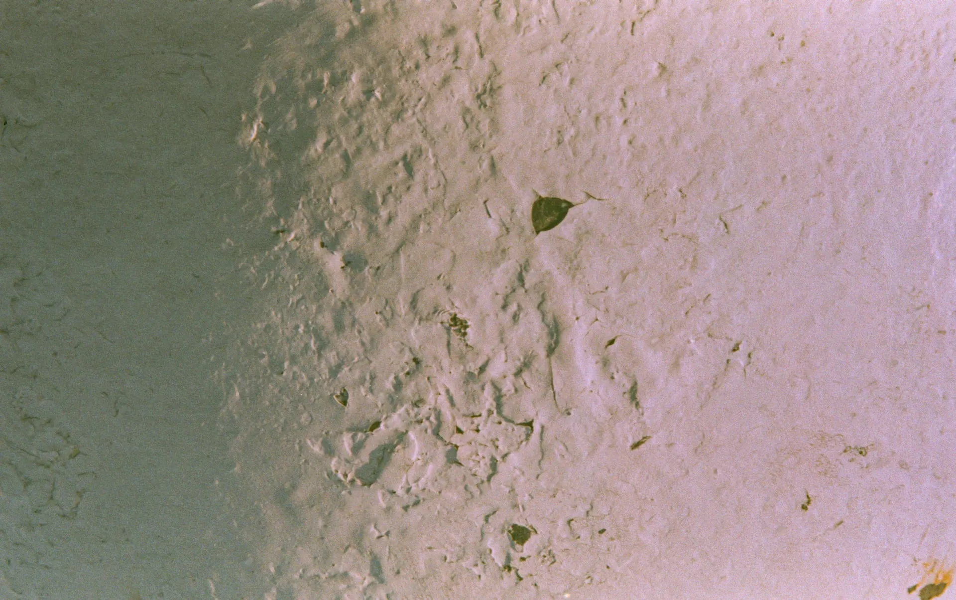 Erosion I 2019 — image 8