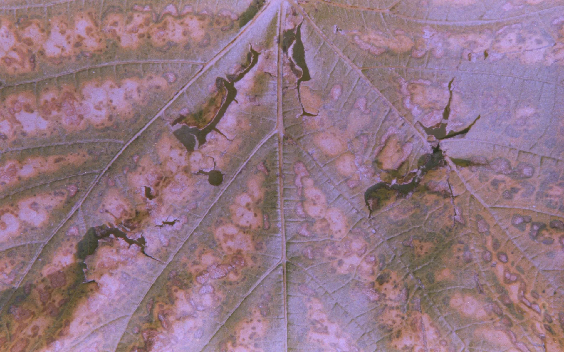 Erosion I 2019 — image 3